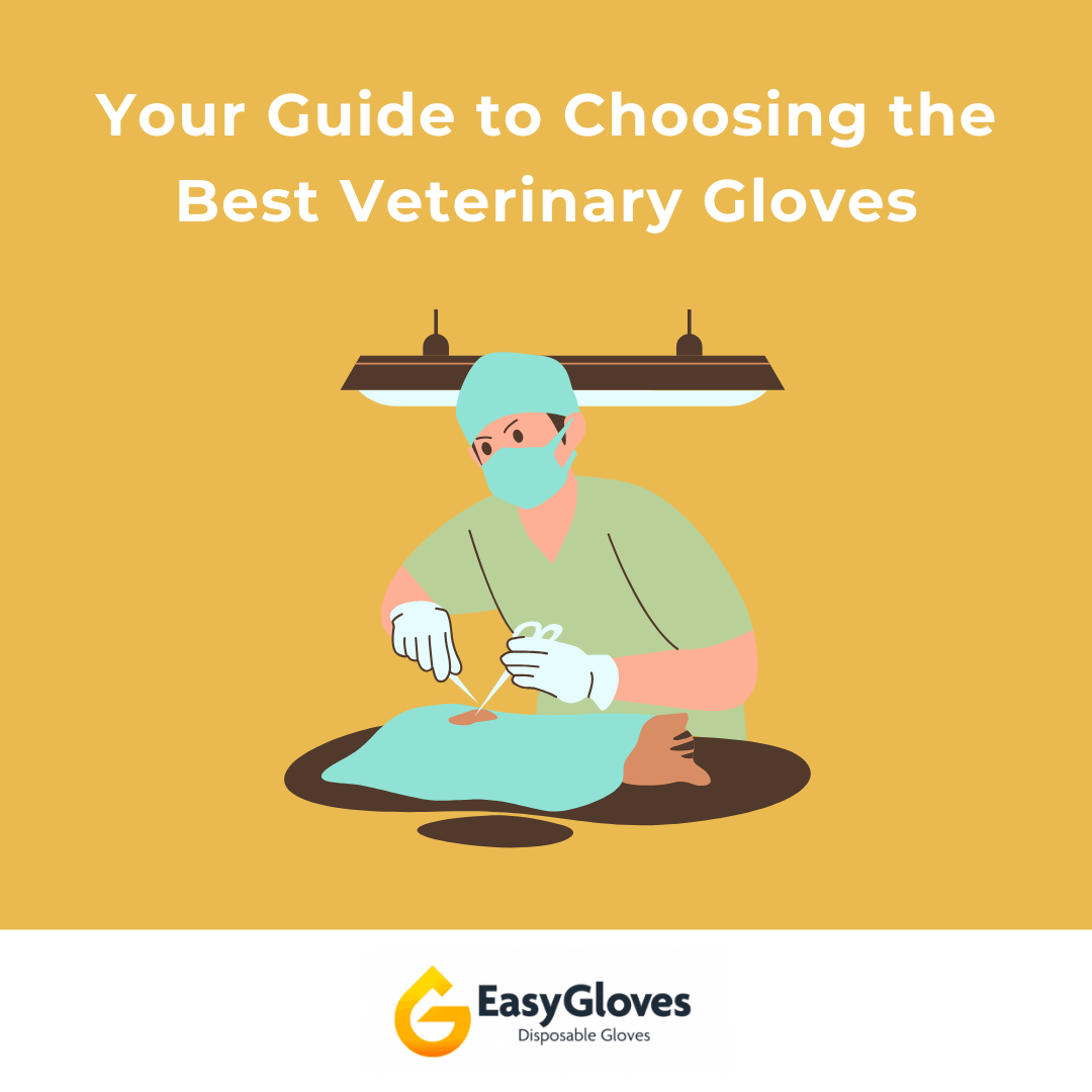 Your Guide to Choosing the Best Veterinary Gloves