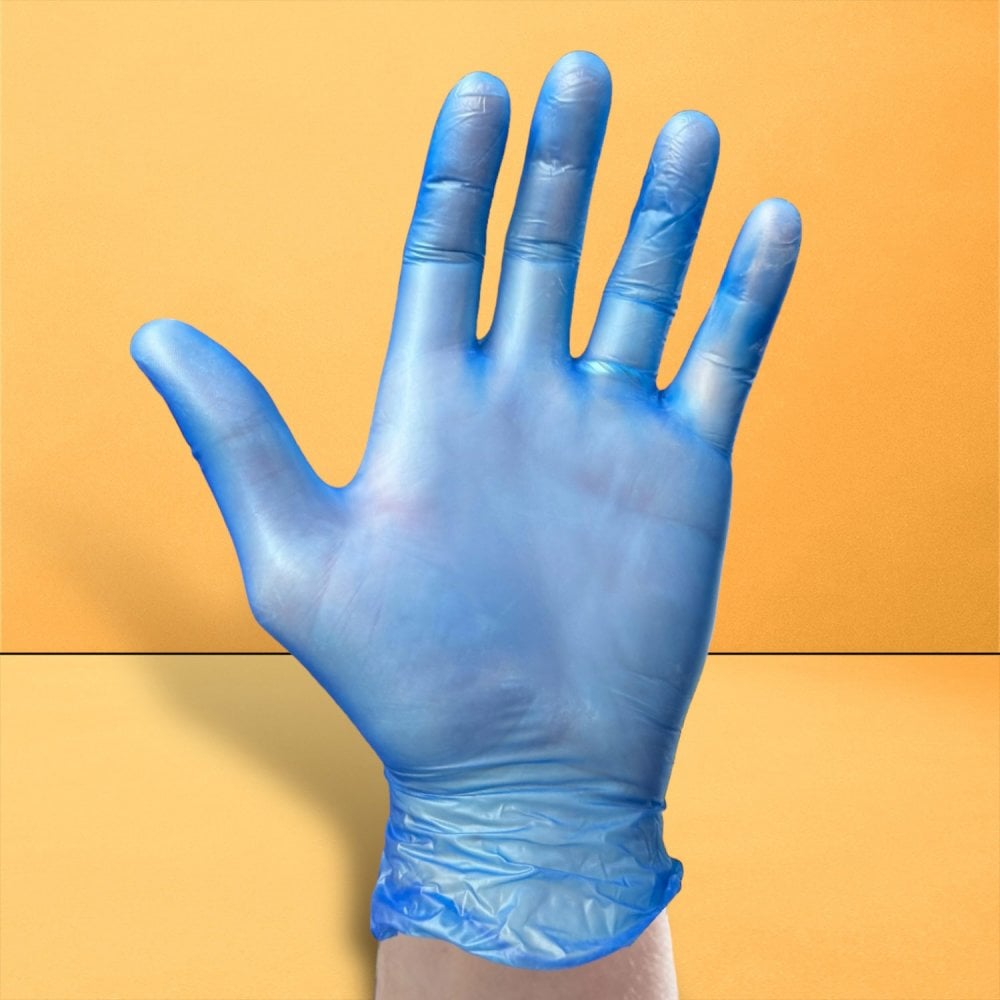 Blue Vinyl Gloves - Powdered
